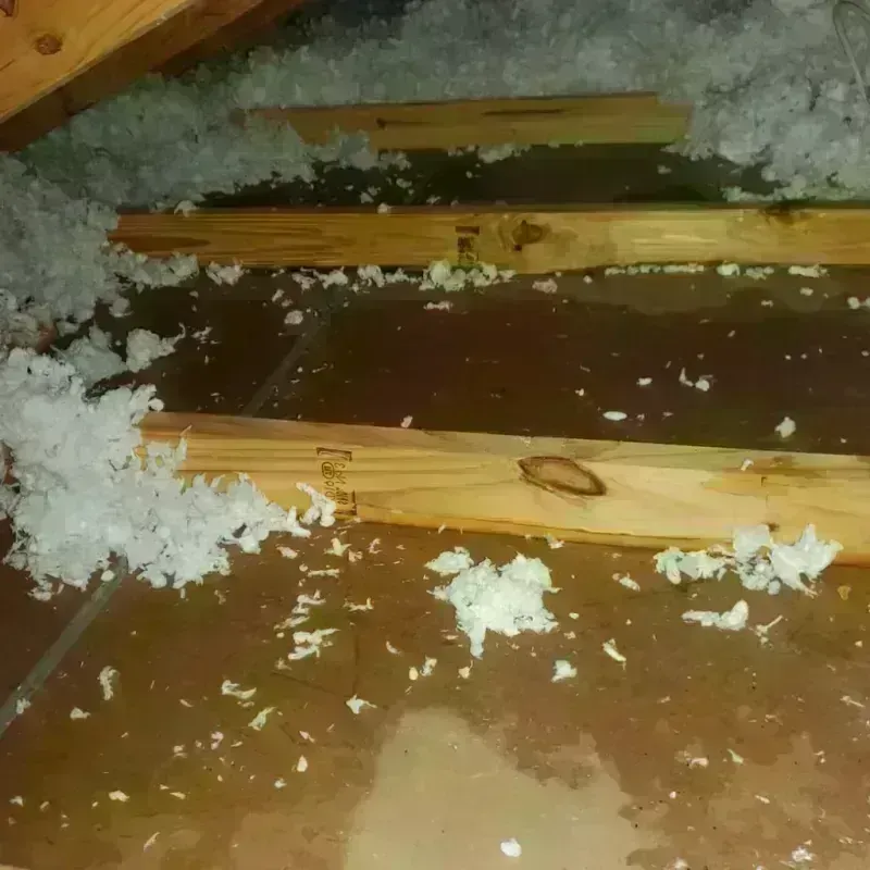 Attic Water Damage in Randolph County, IL