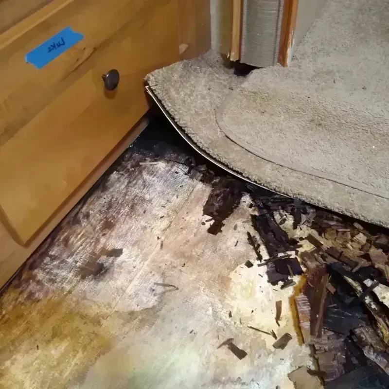 Wood Floor Water Damage in Randolph County, IL